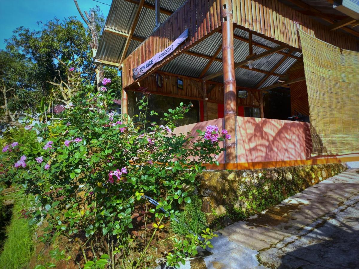 Sun Rice Homestay روتينج المظهر الخارجي الصورة
