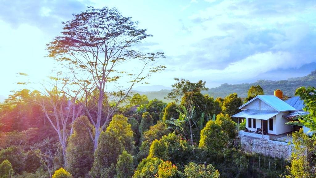 Sun Rice Homestay روتينج المظهر الخارجي الصورة
